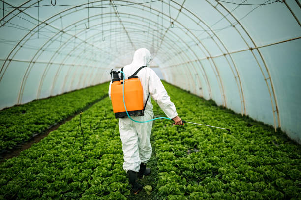 Best Affordable Pest Control Services  in Manahawkin, NJ