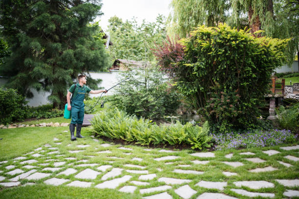 Reliable Manahawkin, NJ Pest Control Solutions