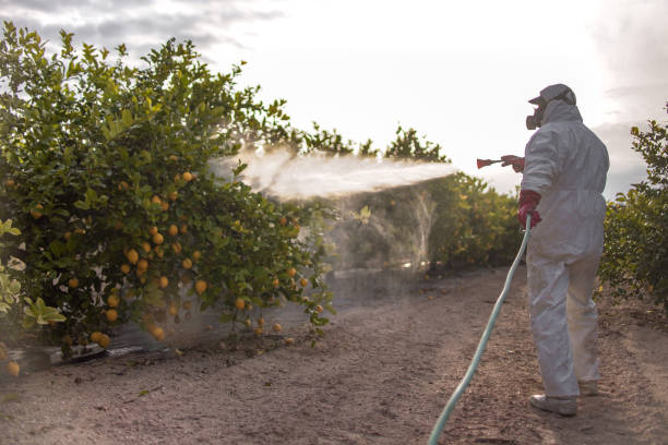 Best Pest Control Near Me  in Manahawkin, NJ