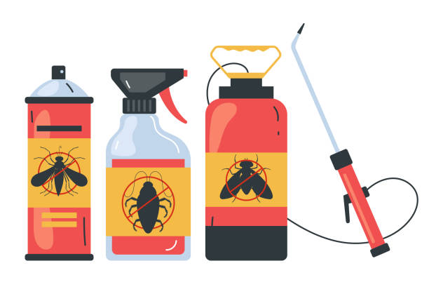 Best Termite Control Services  in Manahawkin, NJ