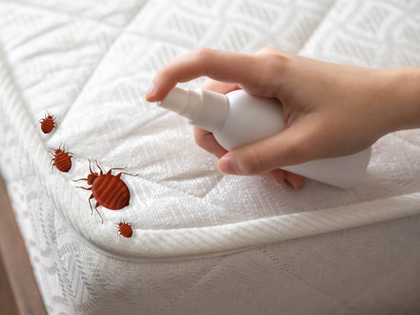 Best Commercial Pest Control Services  in Manahawkin, NJ
