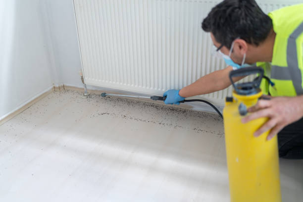 Best Pest Inspection Near Me  in Manahawkin, NJ