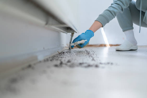 Best Emergency Pest Control  in Manahawkin, NJ
