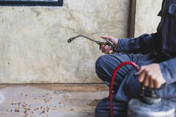 Best Local Pest Control Services  in Manahawkin, NJ